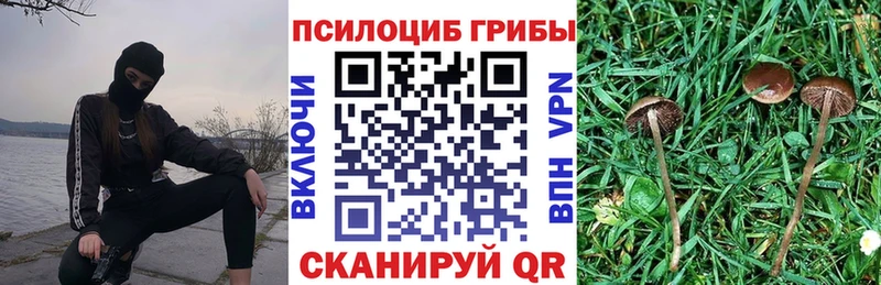 Псилоцибиновые грибы Psilocybe  гидра зеркало  Заозёрный  как найти закладки 